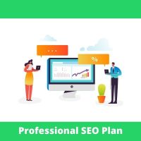 Professional SEO Plan