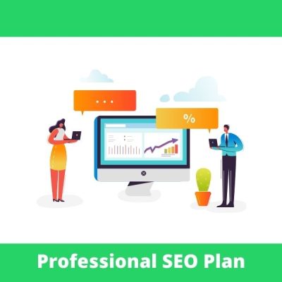 Professional SEO Plan